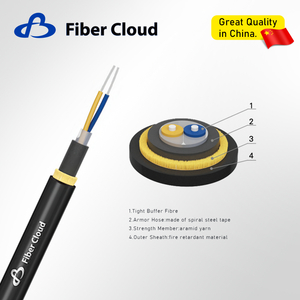 كابلات الألياف الضوئية المدرعة بخرطوم مرن من الفولاذ المقاوم للصدأ (GJFJKH).